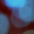 Bokeh-306